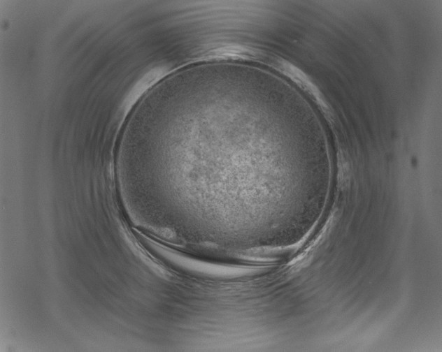 X0000068901234200605081337