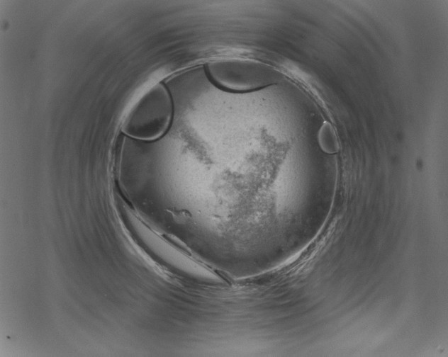 X0000068901235200605081337