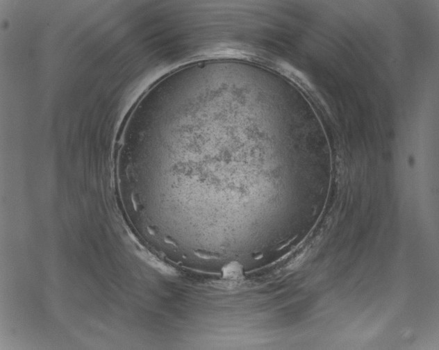 X0000068901236200605081337