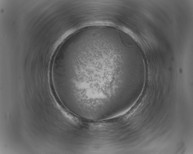 X0000068901237200605081337