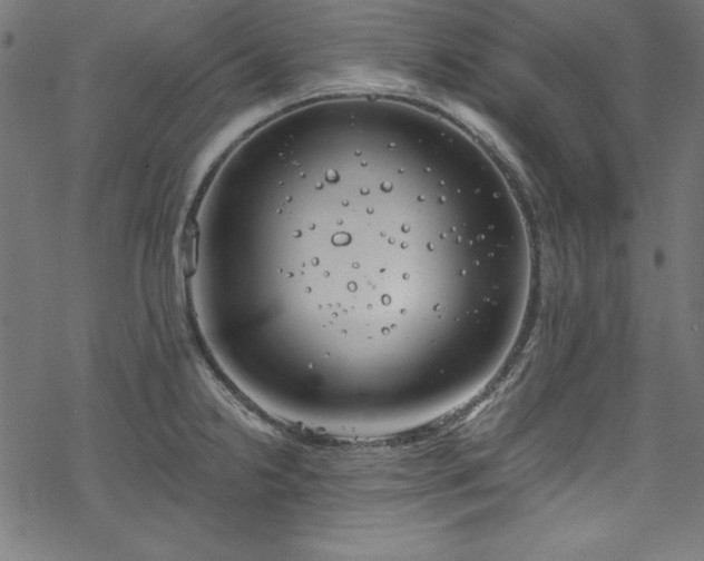 X0000068901238200605081337