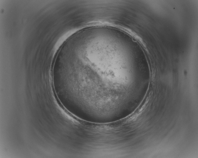 X0000068901239200605081337