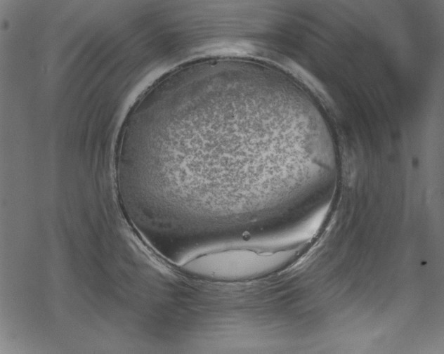 X0000068901240200605081337