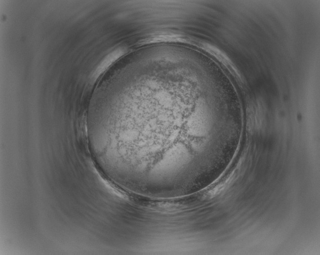 X0000068901241200605081337