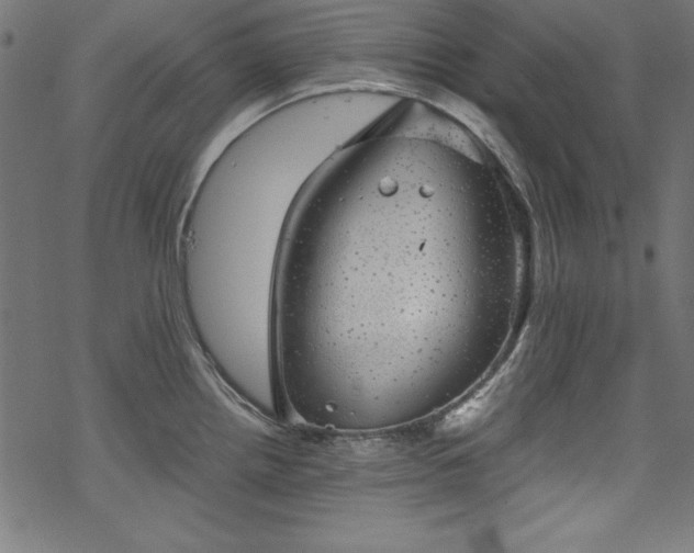 X0000068901242200605081337