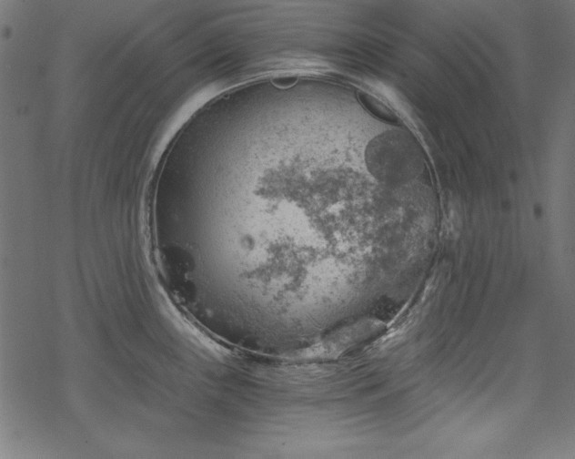 X0000068901243200605081337