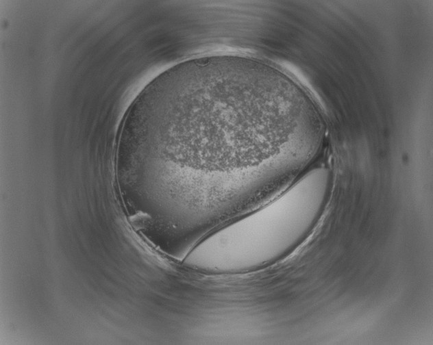 X0000068901244200605081337