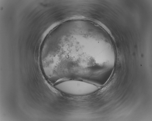 X0000068901245200605081337