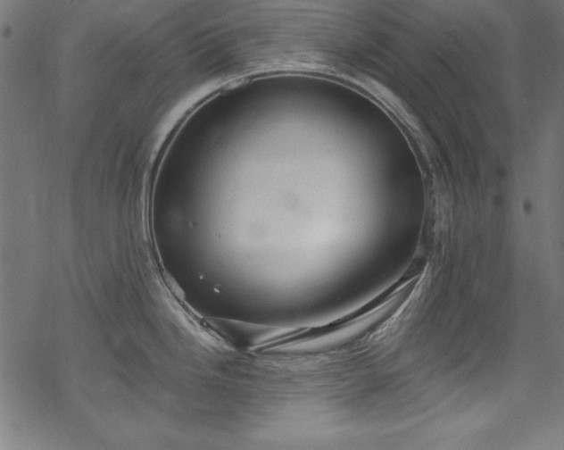 X0000068901246200605081337