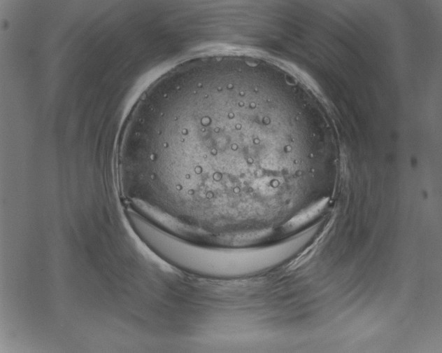 X0000068901247200605081337