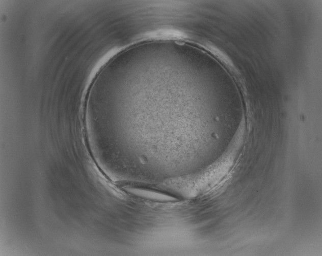 X0000068901248200605081337