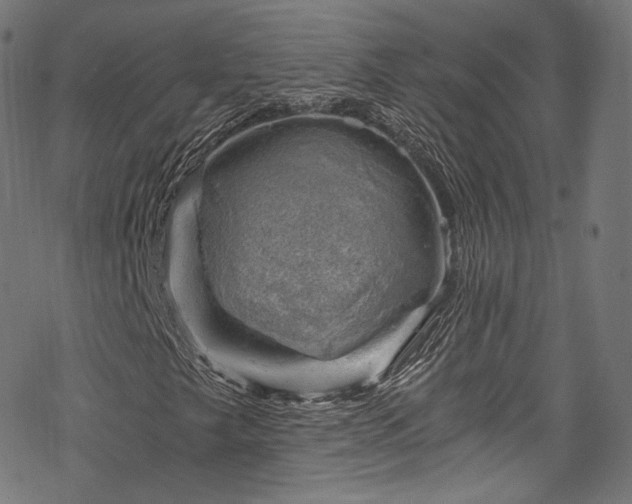 X0000068901249200605081336