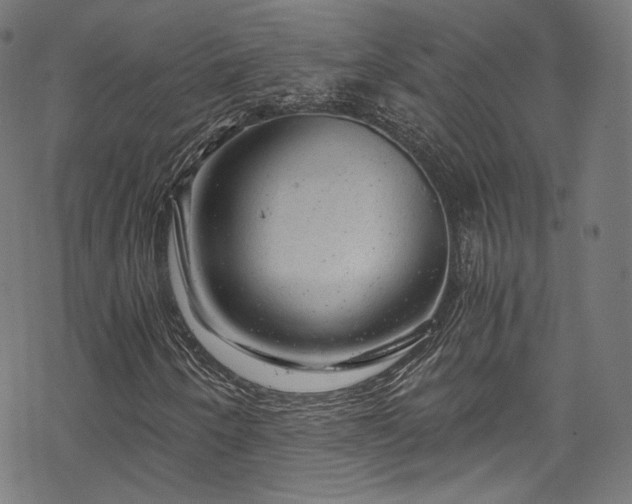 X0000068901250200605081336