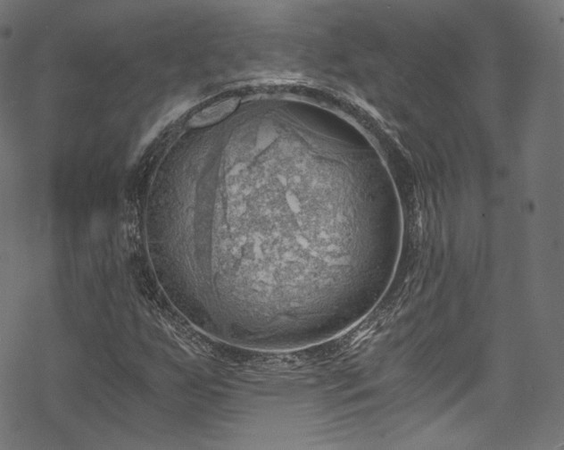 X0000068901255200605081336