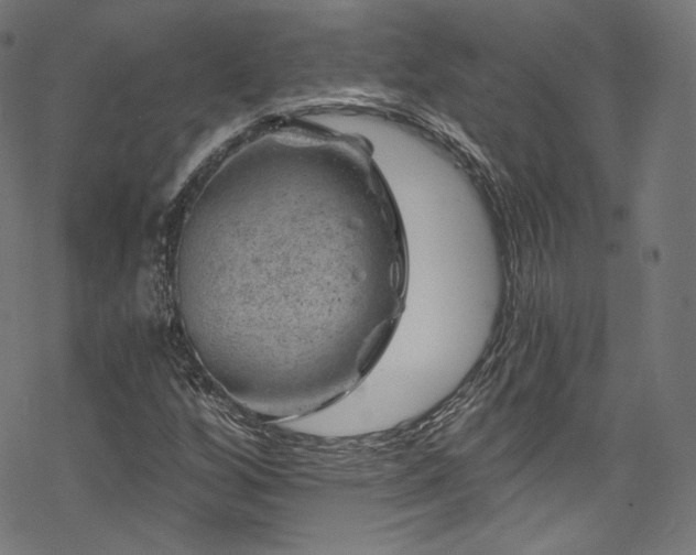 X0000068901256200605081336