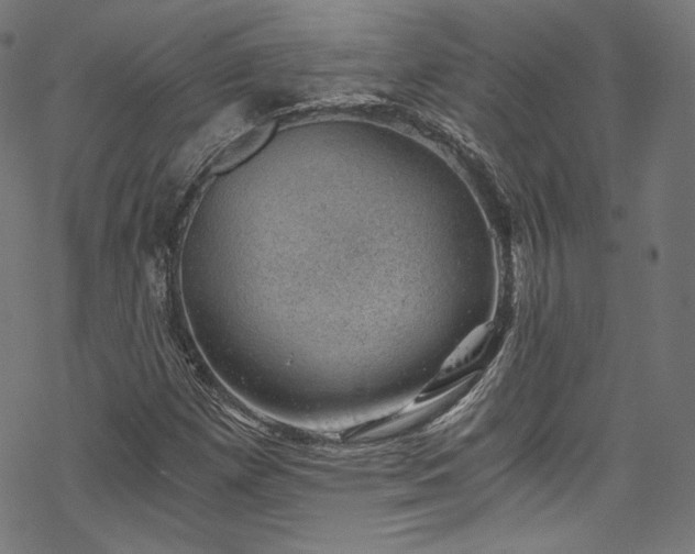 X0000068901257200605081336