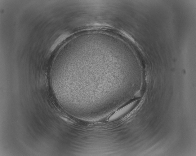 X0000068901259200605081336