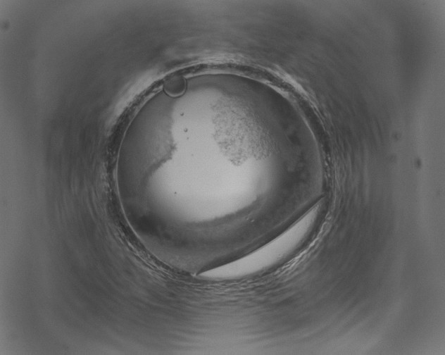 X0000068901263200605081336