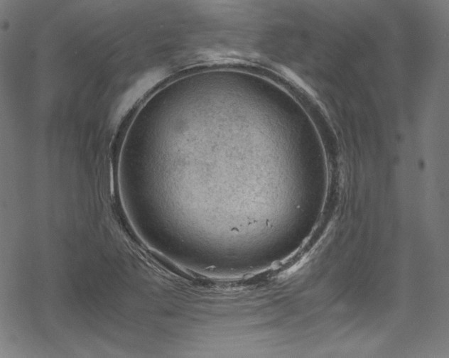 X0000068901269200605081336