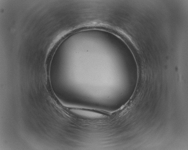 X0000068901270200605081336