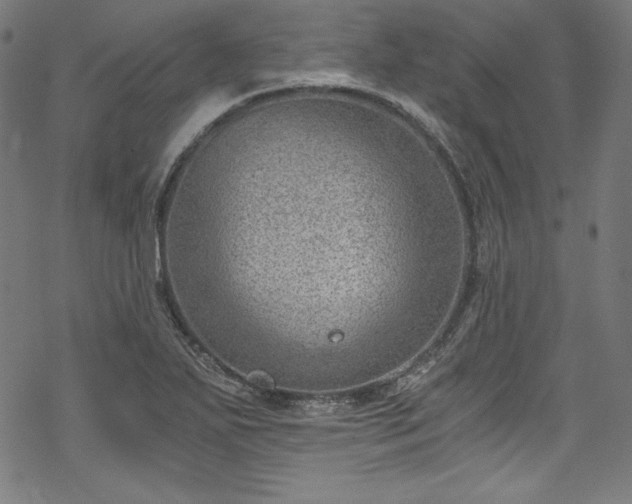 X0000068901271200605081336