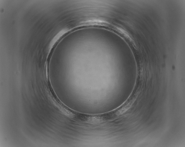 X0000068901275200605081336