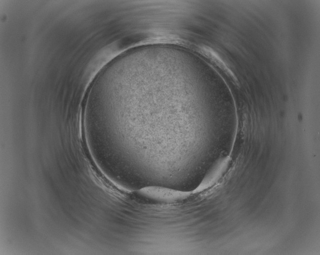 X0000068901276200605081336