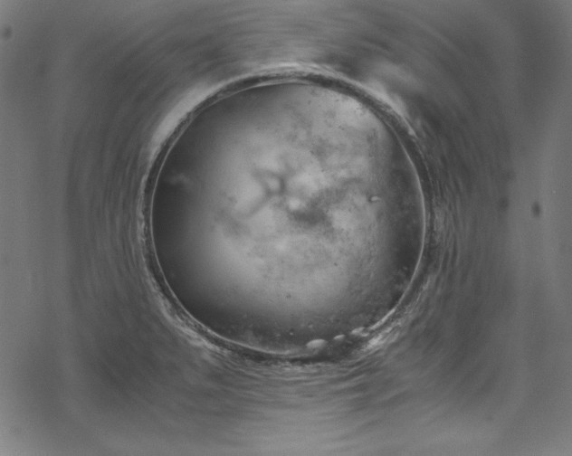 X0000068901279200605081336