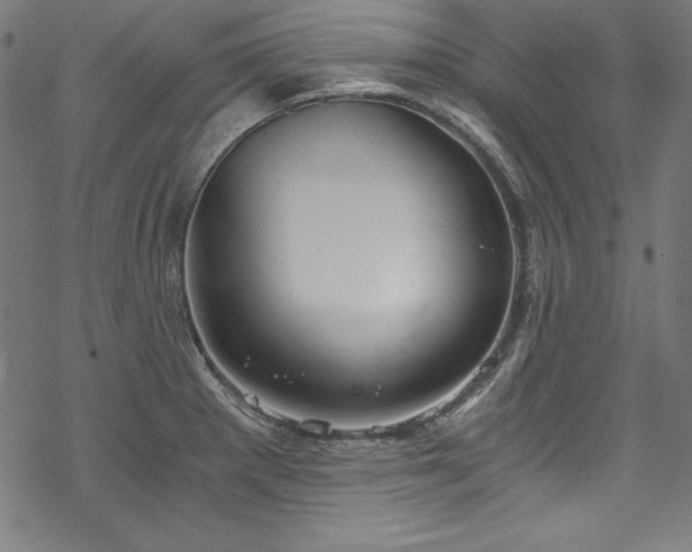 X0000068901281200605081336