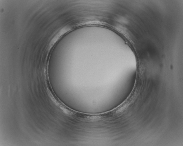 X0000068901282200605081336