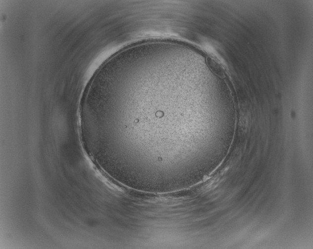 X0000068901287200605081336