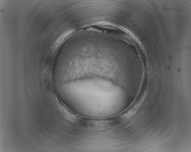 X0000068901289200605081336