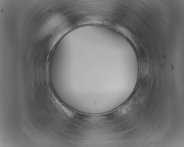 X0000068901290200605081336