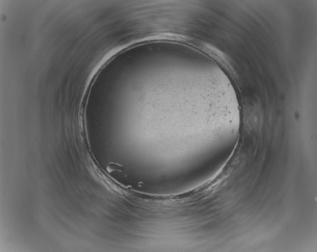 X0000068901292200605081336