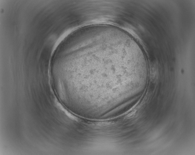 X0000068901294200605081336