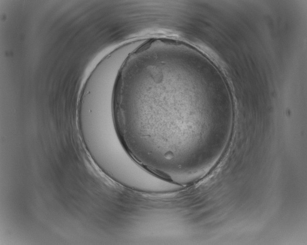 X0000068901296200605081336