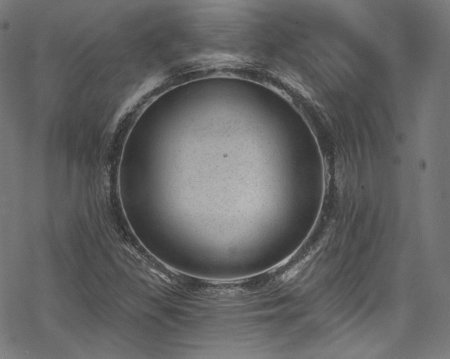 X0000068901309200605081335