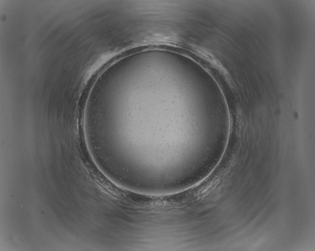 X0000068901316200605081335