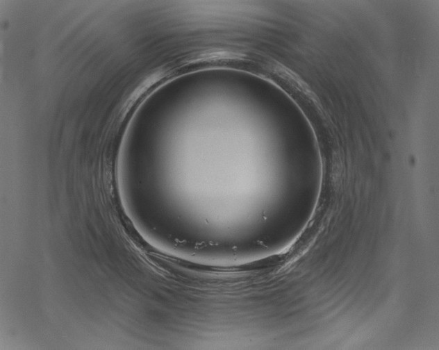 X0000068901321200605081335