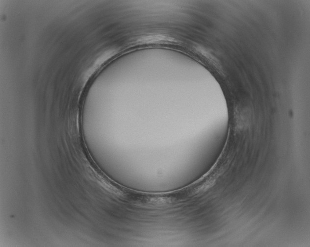 X0000068901322200605081335