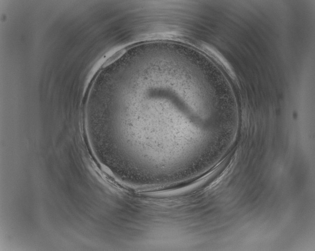 X0000068901340200605081336