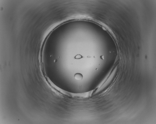 X0000068901343200605081336