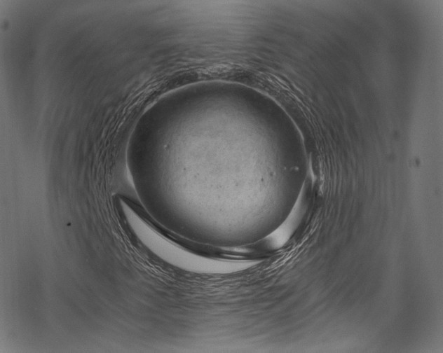 X0000068901345200605081335