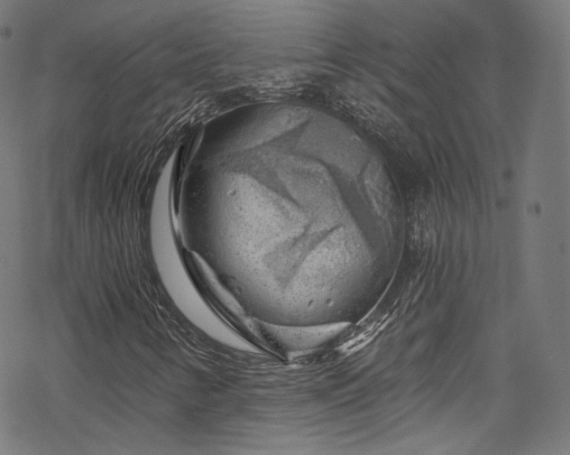 X0000068901346200605081335