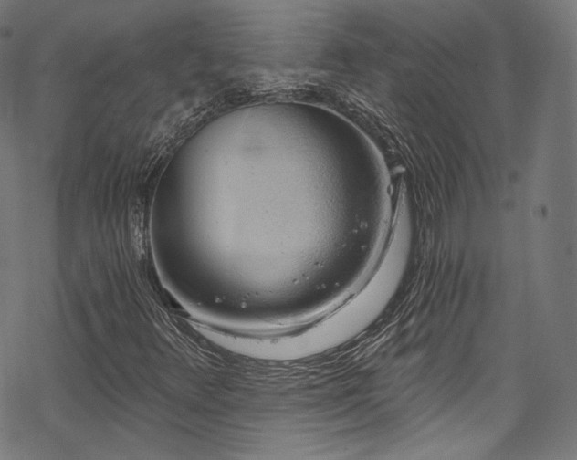 X0000068901348200605081335