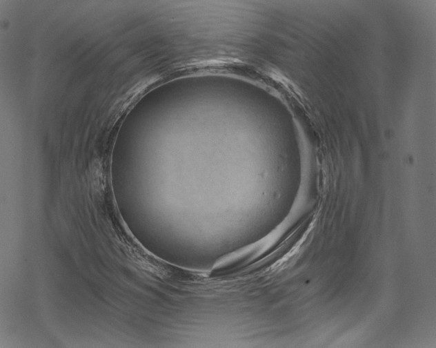 X0000068901353200605081335