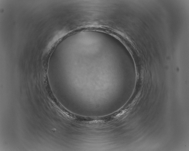 X0000068901359200605081335