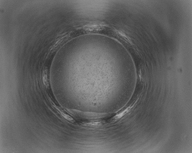 X0000068901396200605081333