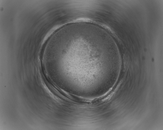 X0000068901422200605081334