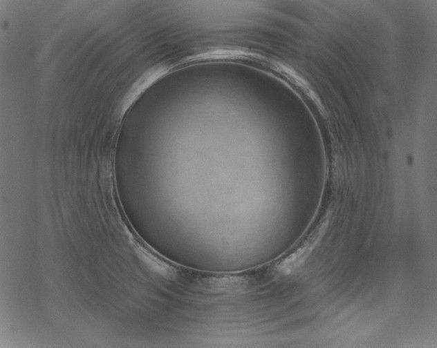 X0000068901425200605081334